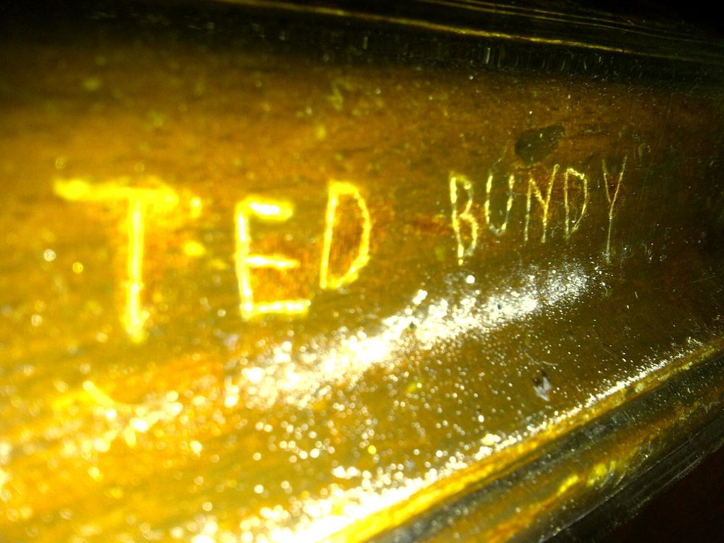 Ted Bundy a sorozatgyilkos