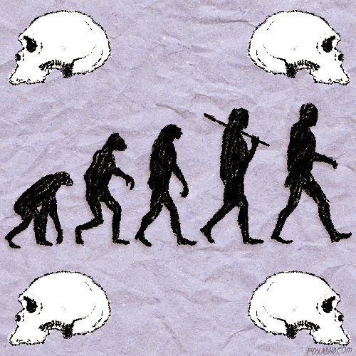 homo erectus életmódja